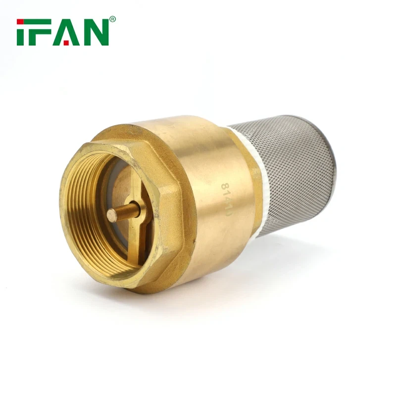 Water Brass Spring Check Valve best